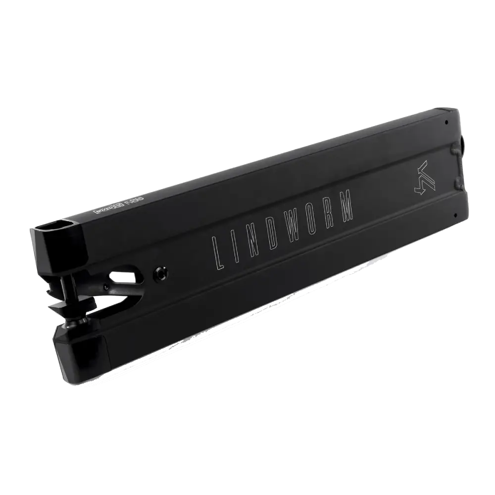 Deck Ethic Lindworm V4 150 Noir dessous